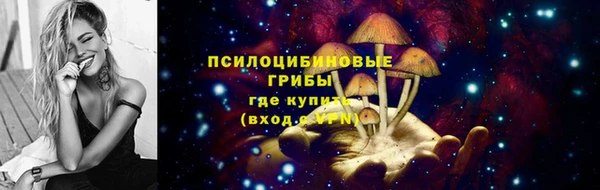 дживик Богородицк