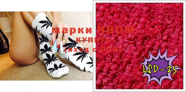 бошки Белокуриха