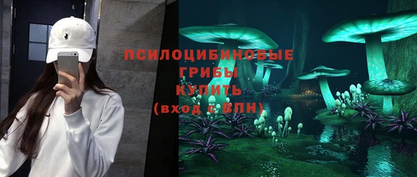 дживик Богородицк
