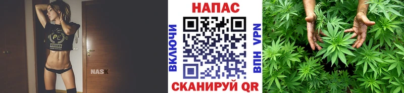 Бошки Шишки гибрид  блэк спрут онион  Верхняя Тура 